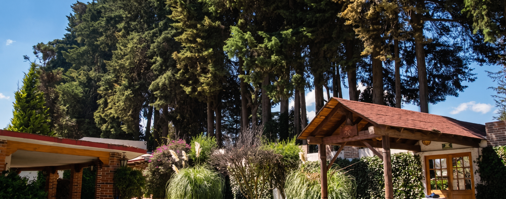 Jardines y bosque del Colegio Allegra